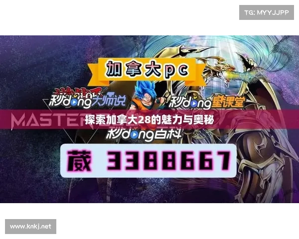 以加拿大28圈为核心探析其玩法规律与技巧深度解析 以加拿大28圈为核心探析其玩法规律与技巧深度解析